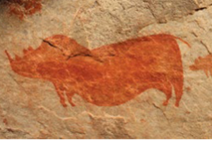 Cederberg rock art 1