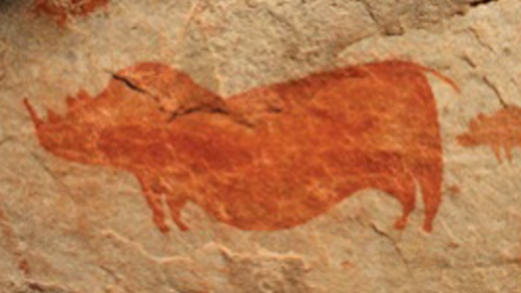 Cederberg rock art 1