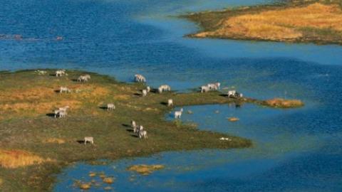 Okavango