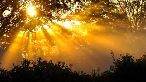 The Sun
