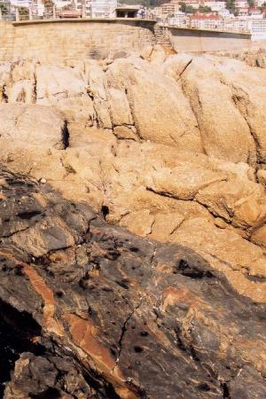 Geology Sea point Contact