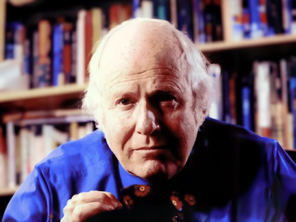 Dan Remenyi