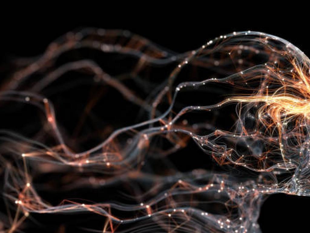 Neuroscience