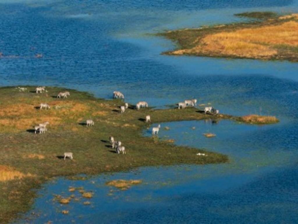 Okavango