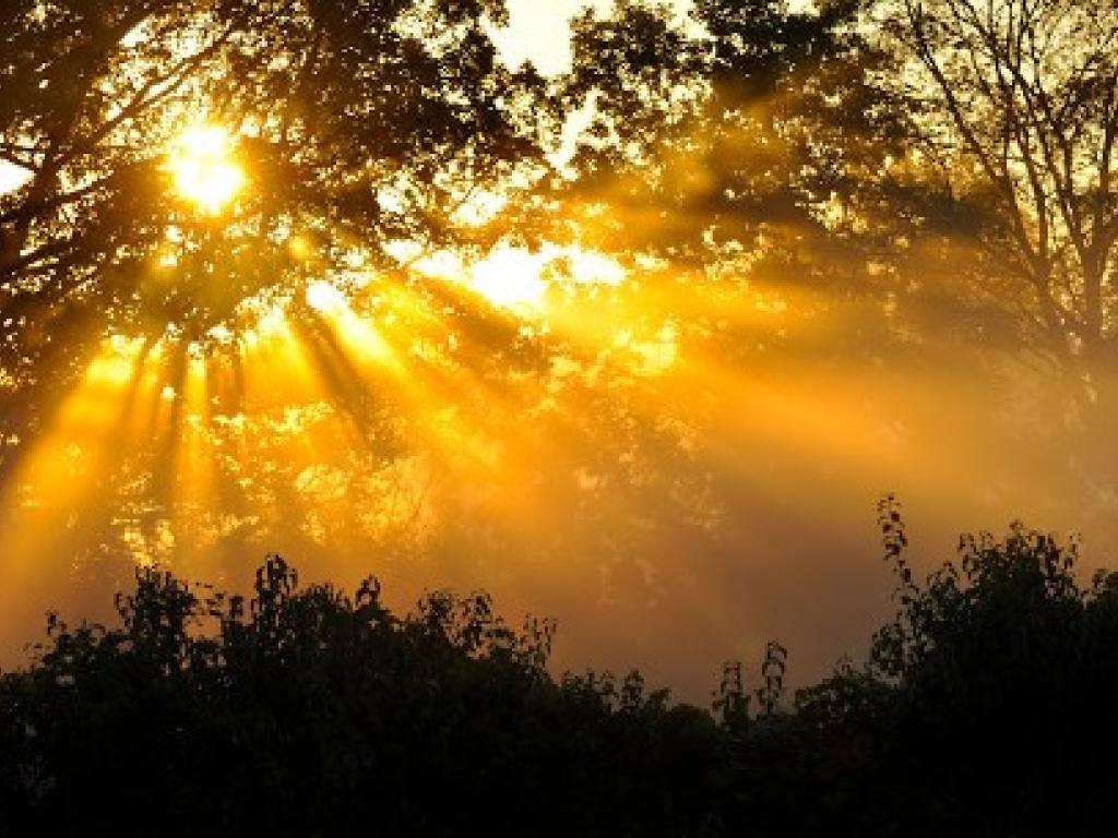 The Sun