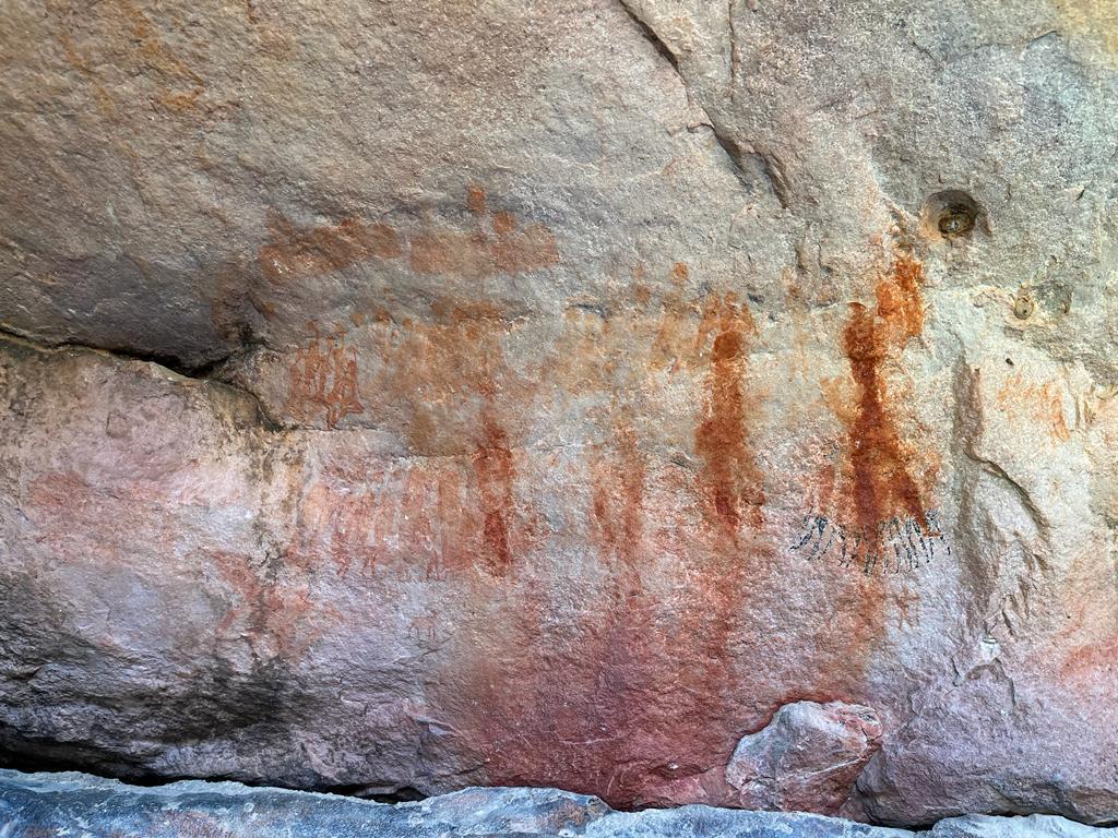 Cederberg excursion 3