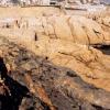 Geology Sea point Contact