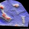 Fossil footprints