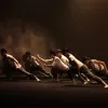 Performing art