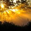 The Sun