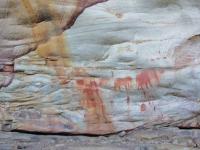 Cederberg excursion
